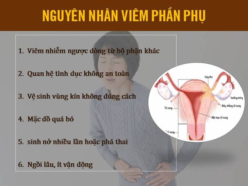 Nguyen Nhan Viem Phan Phu