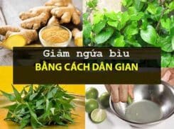 Bài thuốc dân gian trị ngứa bìu: 3 bài thuốc với hướng dẫn cụ thể